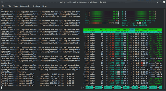 htop stats when building native executable